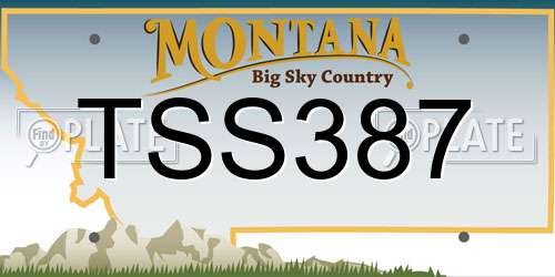 TSS387 Montana License Plate