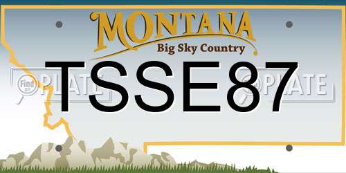TSSE87 Montana License Plate