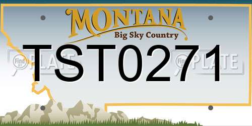 TST0271 Montana License Plate