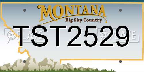 TST2529 Montana License Plate