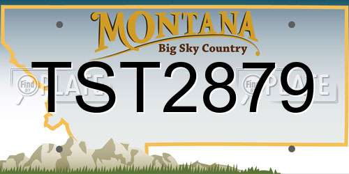 TST2879 Montana License Plate