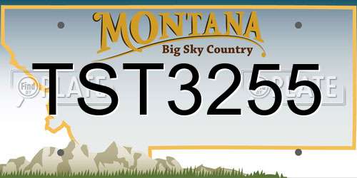 TST3255 Montana License Plate
