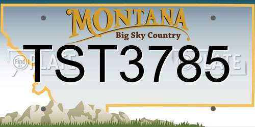 TST3785 Montana License Plate
