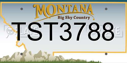 TST3788 Montana License Plate