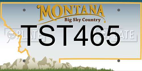 TST465 Montana License Plate