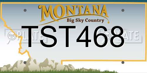TST468 Montana License Plate