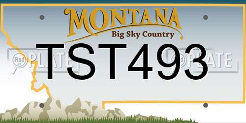 TST493 Montana License Plate