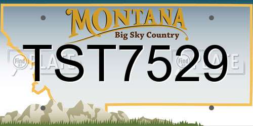 TST7529 Montana License Plate