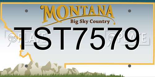 TST7579 Montana License Plate