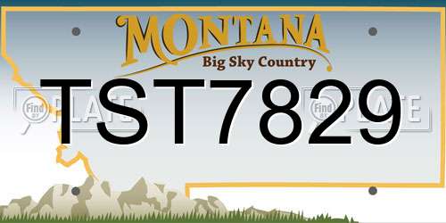 TST7829 Montana License Plate