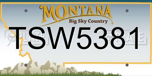 TSW5381 Montana License Plate
