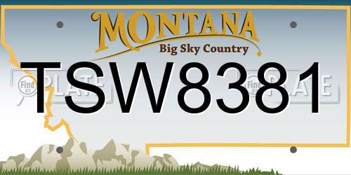 TSW8381 Montana License Plate