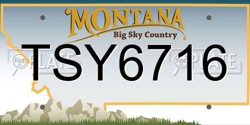 TSY6716 Montana License Plate