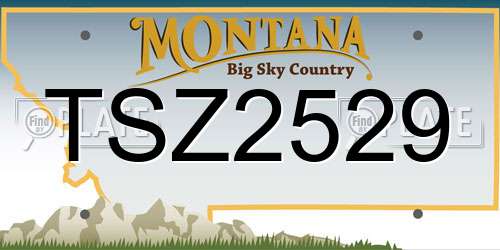 TSZ2529 Montana License Plate