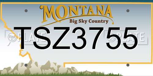 TSZ3755 Montana License Plate