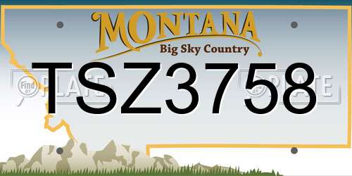 TSZ3758 Montana License Plate