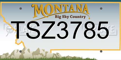 TSZ3785 Montana License Plate