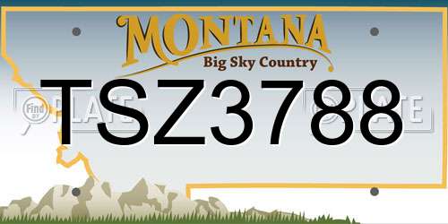 TSZ3788 Montana License Plate