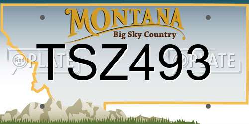 TSZ493 Montana License Plate