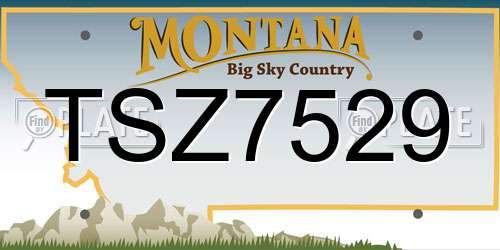 TSZ7529 Montana License Plate