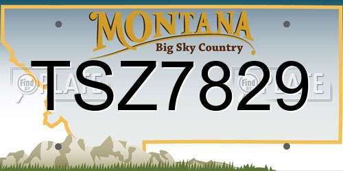 TSZ7829 Montana License Plate