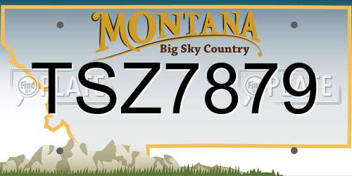 TSZ7879 Montana License Plate