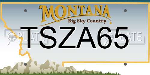 TSZA65 Montana License Plate