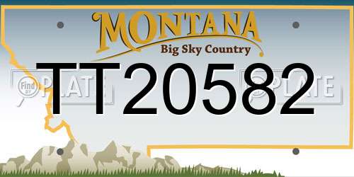 TT20582 Montana License Plate