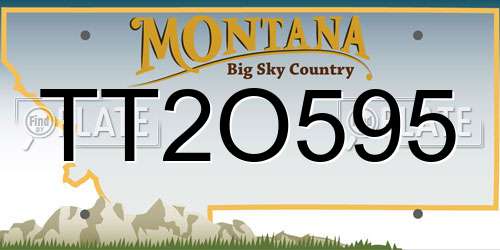 TT2O595 Montana License Plate