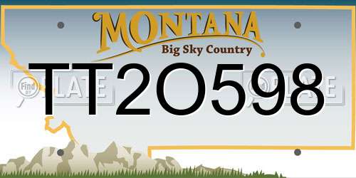 TT2O598 Montana License Plate