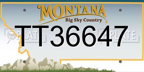 TT36647 Montana License Plate