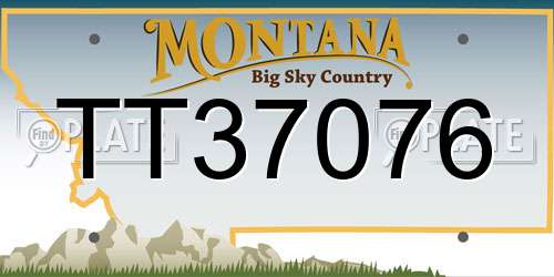 TT37076 Montana License Plate