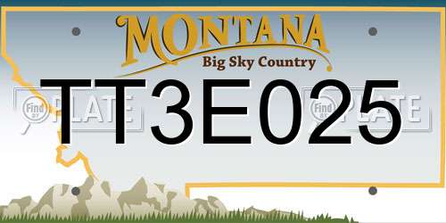 TT3E025 Montana License Plate