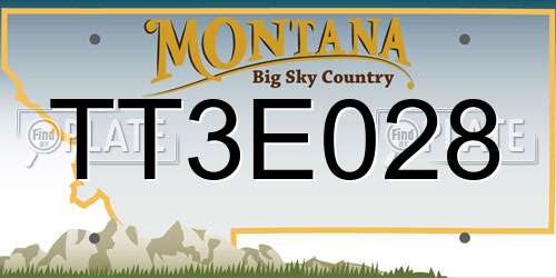 TT3E028 Montana License Plate