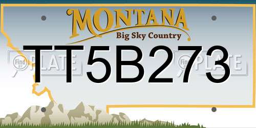 TT5B273 Montana License Plate