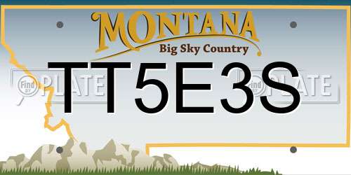 TT5E3S Montana License Plate