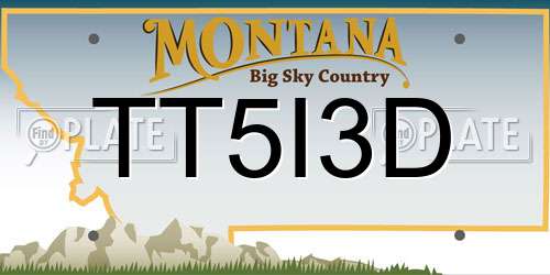 TT5I3D Montana License Plate