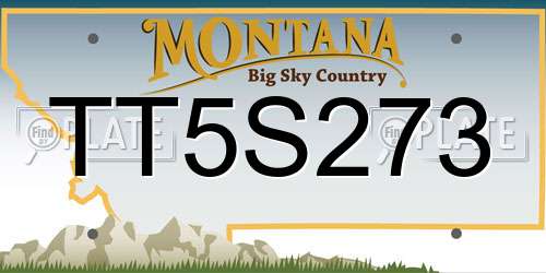 TT5S273 Montana License Plate