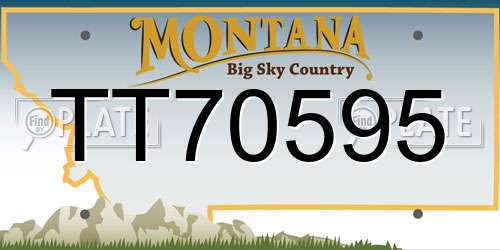 TT70595 Montana License Plate