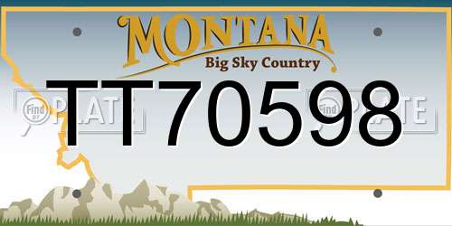 TT70598 Montana License Plate
