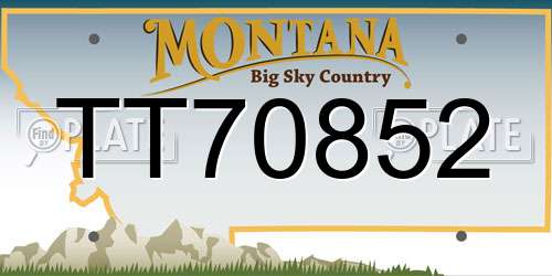 TT70852 Montana License Plate