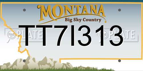 TT7I313 Montana License Plate