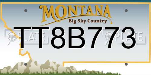 TT8B773 Montana License Plate