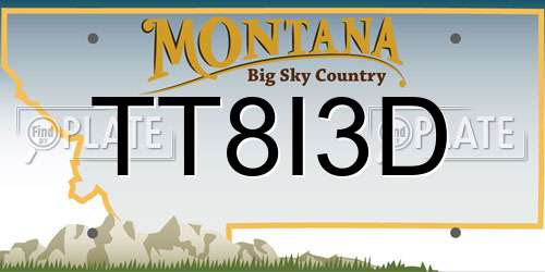TT8I3D Montana License Plate
