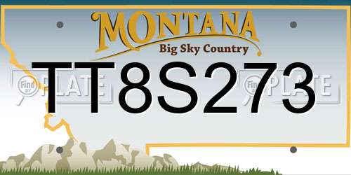 TT8S273 Montana License Plate