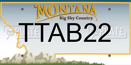 TTAB22 Montana License Plate