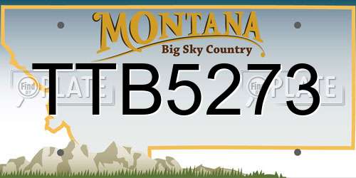 TTB5273 Montana License Plate
