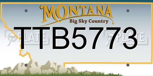 TTB5773 Montana License Plate