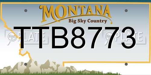 TTB8773 Montana License Plate
