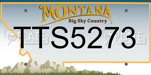 TTS5273 Montana License Plate